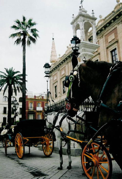 Horse drawn taxis in Seville