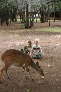 Lawrence and a bushbuck