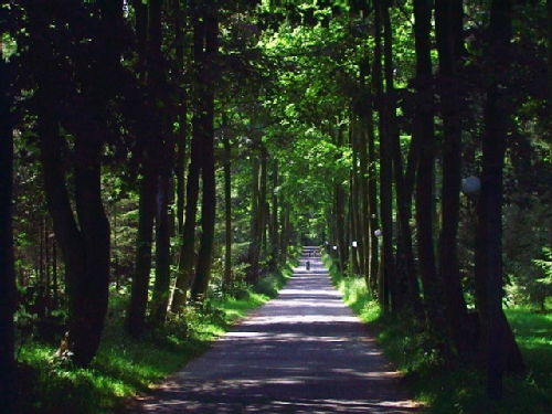 The Redway at Longleat Village, Center Parcs.