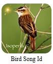 Bird Song ID App by Isoperla