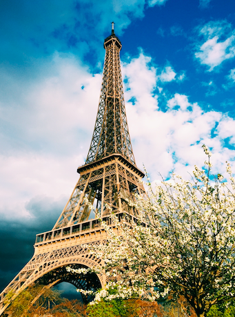 The Eiffel tower in all its spring time glory