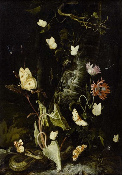 Otto Marseus van Scrieck. Forest still-life with butterflies