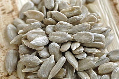 sunflower seed