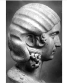 Marble wig with real hair