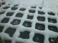 Snow squares on paving slabs.