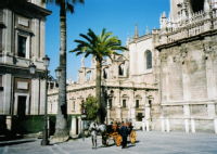 Seville 16