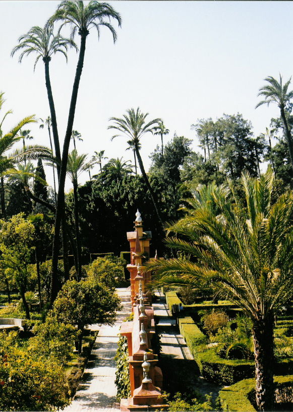 Seville 5