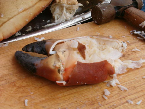 Smashed crab