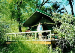 Luxury Okavango camping