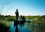 Travel by Mokoro, Okavango Delta