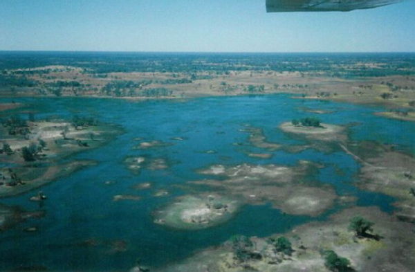 The Okavango Delta from the air 2